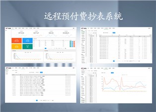 遠程預付費抄表系統的原理是什么呢？—老王說表