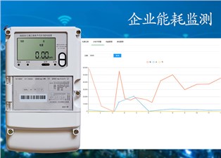 企業(yè)能耗監(jiān)測(cè)—老王說表